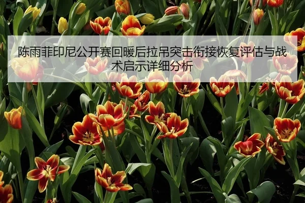 陈雨菲印尼公开赛回暖后拉吊突击衔接恢复评估与战术启示详细分析