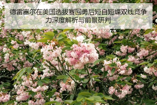 de-lei-sai-er-zai-mei-guo-xuan-ba-sai-hui-yong-hou-duan-zi-duan-die-shuang-xian-jing-zheng-li-shen-du-jie-xi-yu-qian-2-973.jpg